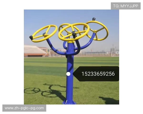 适合老年人使用的安全健身器材大全