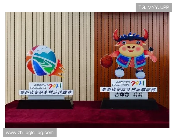 贵州是否有CBA球队？目前篮球基础与参赛前景分析